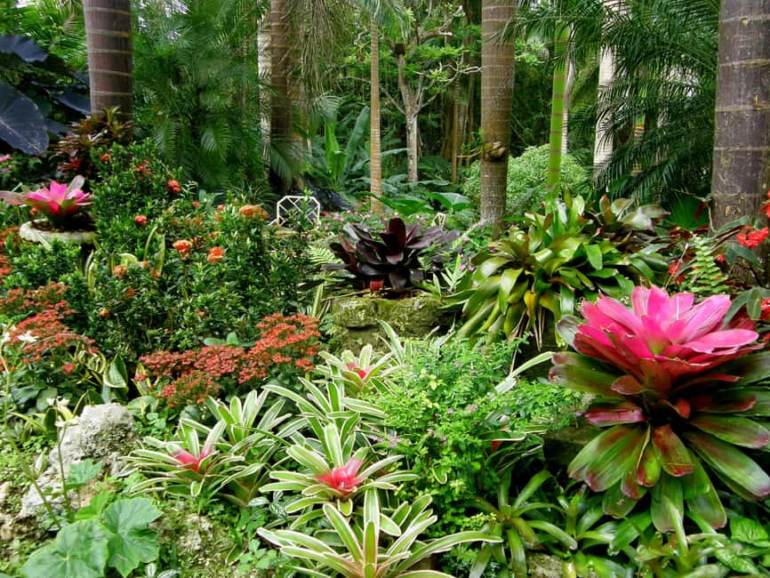 Little England: Half Day Tour in Barbados - Hunte’s Gardens: tropical color on winding paths