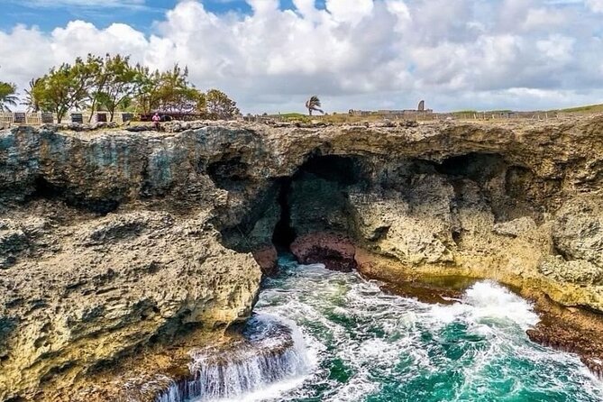 Lunch At Animal Flower Cave with Scenic Drive of Barbados - Who will get the most from this outing