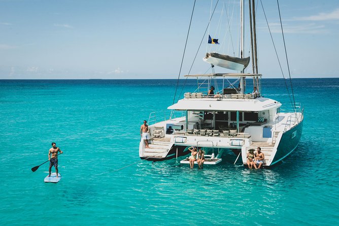Luxury Catamaran, Snorkel and Dining Experience Barbados - Snorkeling a shipwreck with turtles and fish