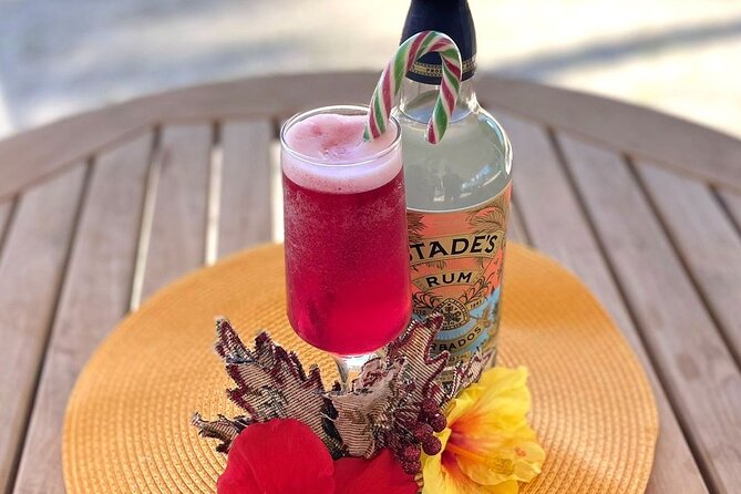 Mixology Class in Bridgetown – 10 Minutes from Cruise Terminal - Key points to know before booking