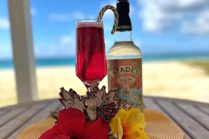 Mixology Class in Bridgetown – 10 Minutes from Cruise Terminal - A short walk from the Bridgetown cruise terminal