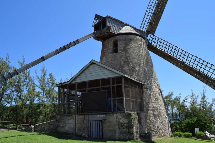 Monkey Feeding & Historic Sugar Plantation & Rum Distillery - The guides make the drive count