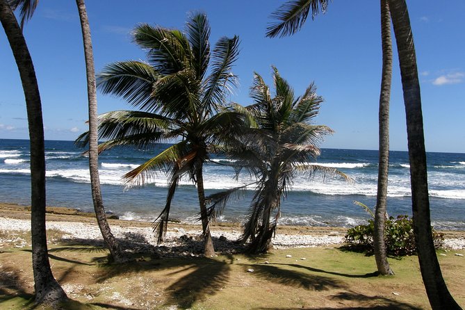 Natural Wonders of Barbados Small-Group with Harrison's Cave - Caribbean lunch with time to refuel