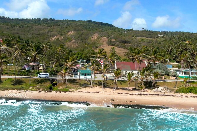Private Barbados Island Tour - The guides are a major part of the value