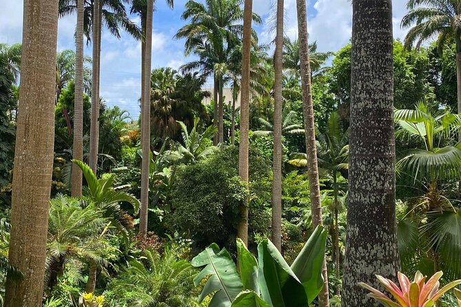 Private Barbados Island Tour - Who will get the most from this tour