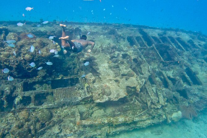 Private catamaran sail & snorkel - Why a private boat changes the Barbados snorkel trip