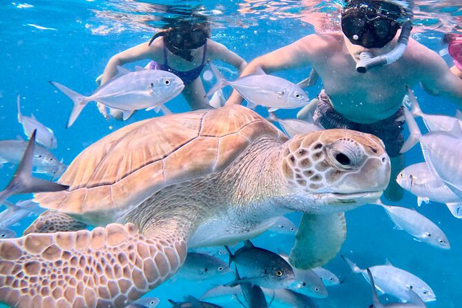 Private catamaran sail & snorkel - Meeting at the beach and getting on the water