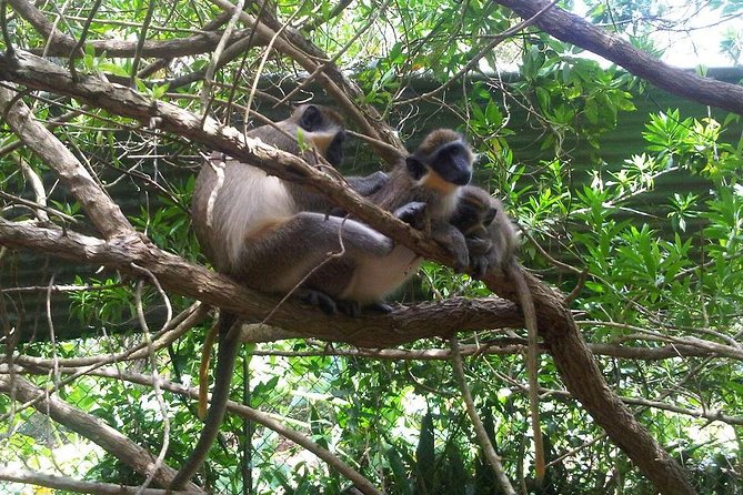 Private Customized Island Tour of Barbados - Key points to know before booking