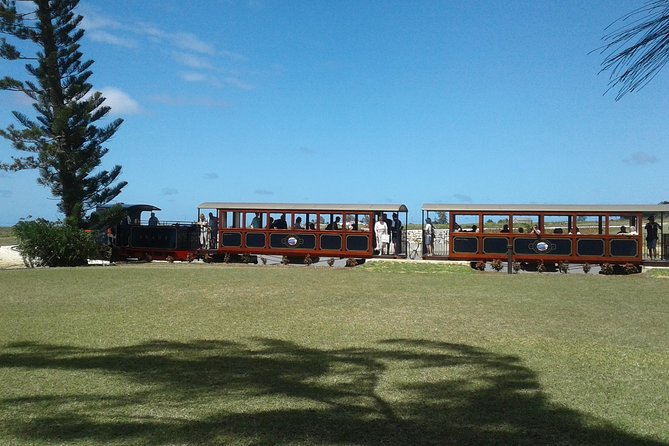 Private Customized Island Tour of Barbados - FAQ