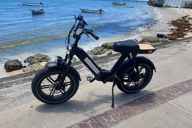 Private E-bike Adventure Tours of Barbados - Museums add choice, but not included cost