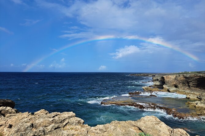 Private Exclusive Scenic Views Tour of Barbados' Landscapes - Cherry Tree Hill Through Mahogany Forest
