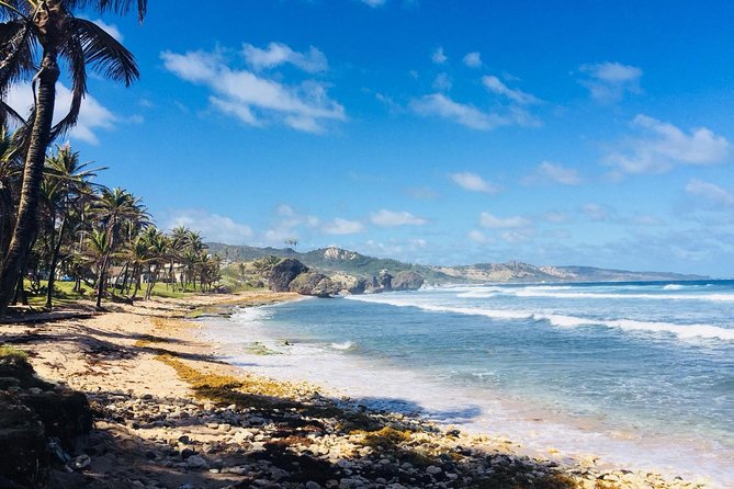 Private Half-Day Barbados Excursion - A private Barbados route instead of a fixed checklist