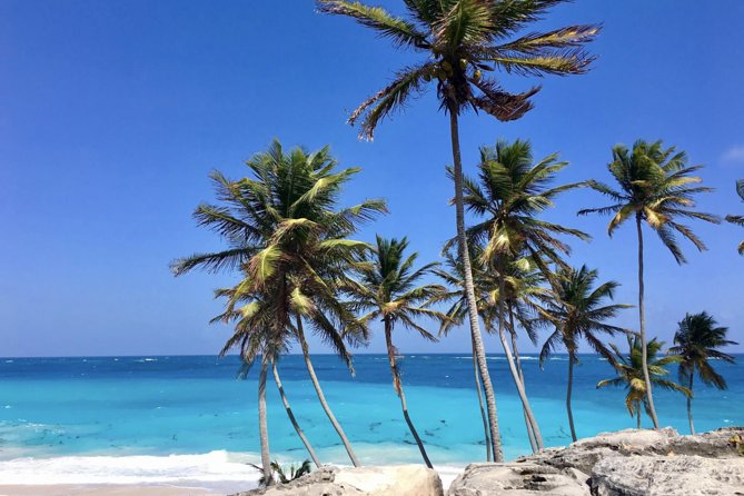 Private Half-Day Barbados Excursion - Caves, cliffs, and the wilder east coast
