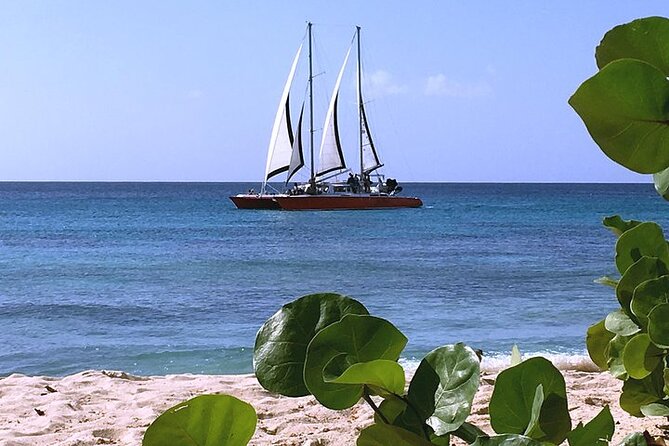 Private Tour: Barbados Catamaran Snorkeling Cruise - Carlisle Bay and the green turtle stop