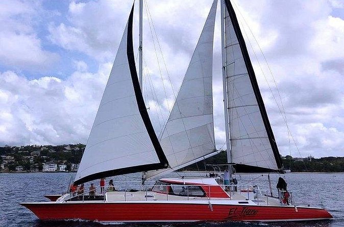 Private Tour: Barbados Catamaran Snorkeling Cruise - Beach time, lunch, and a slower middle of the day