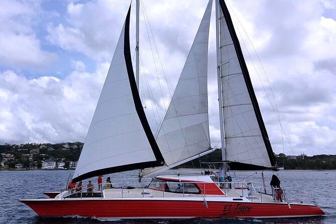 Private Tour: Barbados Catamaran Snorkeling Cruise - Who will enjoy this cruise most