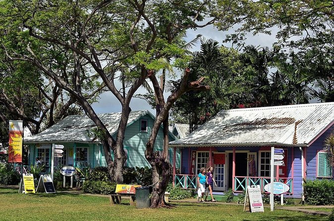 Scenic Barbados Coast To Coast Half-Day Tour - What the guide adds to the drive