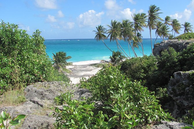 Scenic Barbados Coast To Coast Half-Day Tour - North Point near Animal Flower Cave