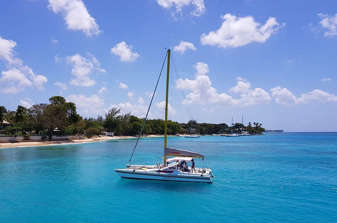Shasa private catamran sailing cruise, Snorkel with turtles. - Is $900 good value?