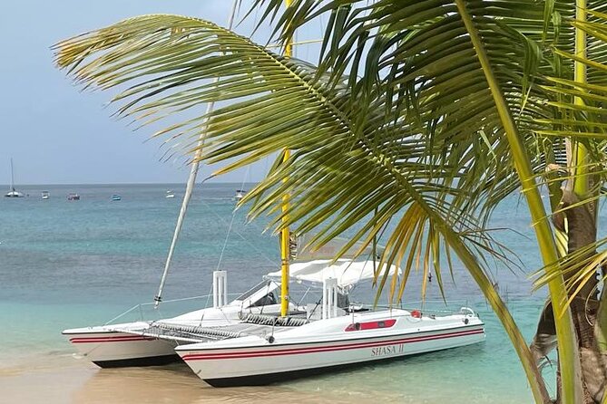 Shasa private catamran sailing cruise, Snorkel with turtles. - What to bring and how to prepare