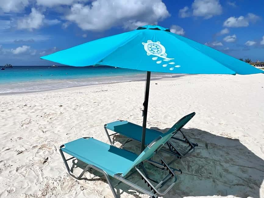 Shore Excursion Barbados Beach Day & Turtle Swim Experience - Quick points to know