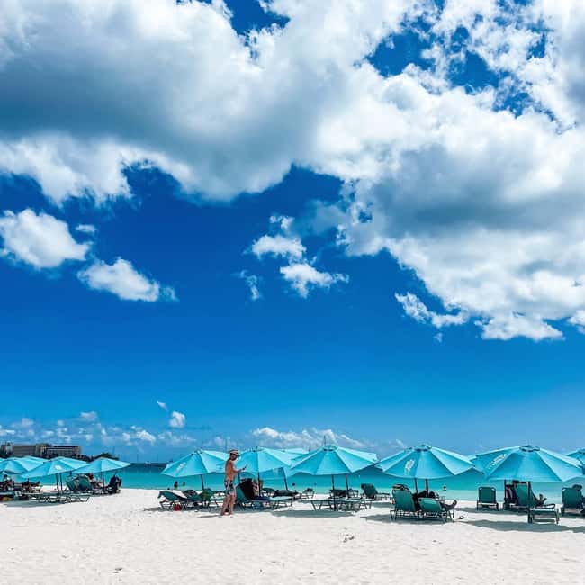 Shuttle to Carlisle Bay inclusive of beach chair - The marine park is worth planning around