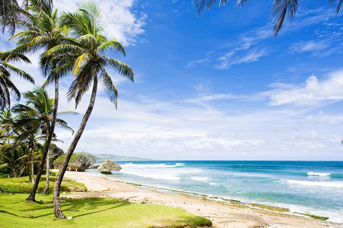 Small-Group Story of Rum Tour in its Birthplace of Barbados - What the $199 price includes