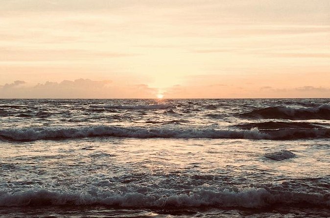 South East Sunrise (or later) E-Bike Tour - Wildlife, beaches, and details you could miss by car