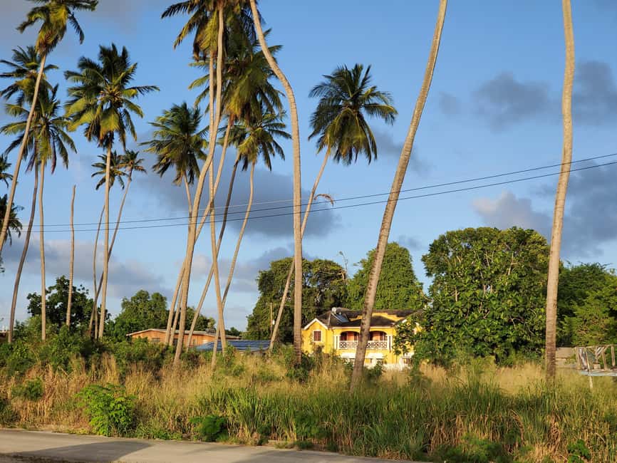 Speightstown: Historic Walking Tour - Meeting the people of modern Speightstown