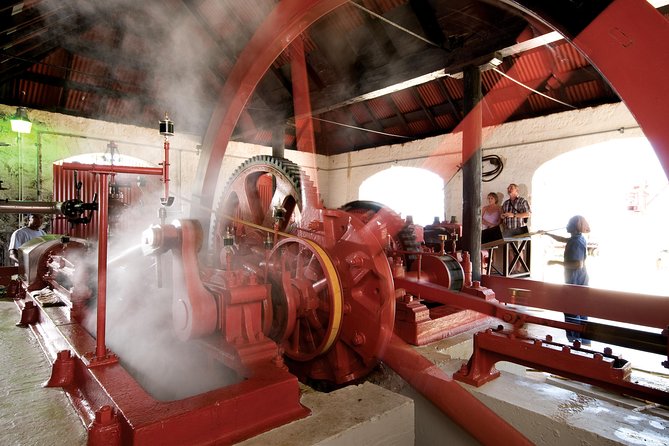 St. Nicholas Abbey Heritage Great House and Rum Distillery Tour - Seeing sugar cane become rum