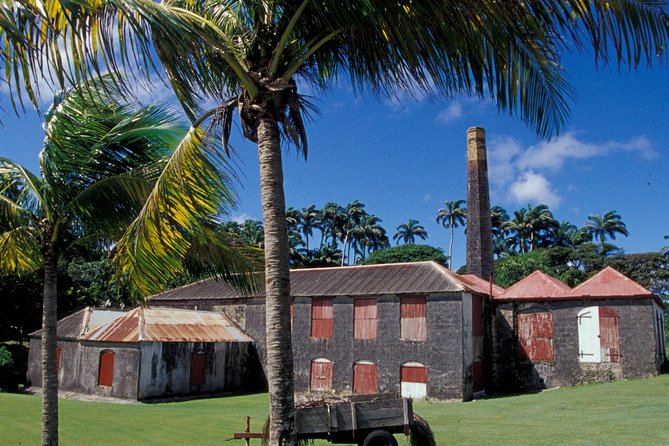 St Nicholas Abbey Tour in Barbados - Why St. Nicholas Abbey feels different from a standard plantation tour