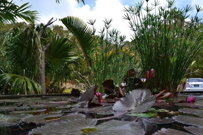 St Nicholas Abbey Tour in Barbados - Who will get the most from this Barbados tour