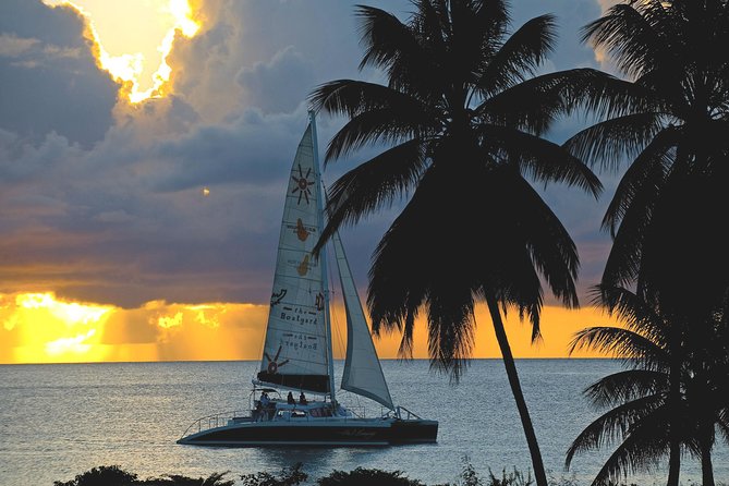 Sunset Catamaran and Snorkeling Cruise At Carlisle Bay - Quick points to know before booking