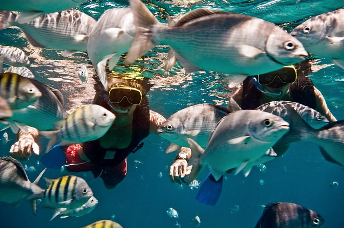 Sunset Catamaran and Snorkeling Cruise At Carlisle Bay - Is $124.33 a fair price?