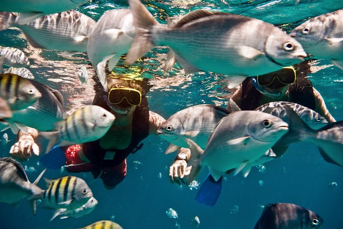 Sunset Catamaran and Snorkeling Cruise At Carlisle Bay - A swim and beach break on a secluded cay
