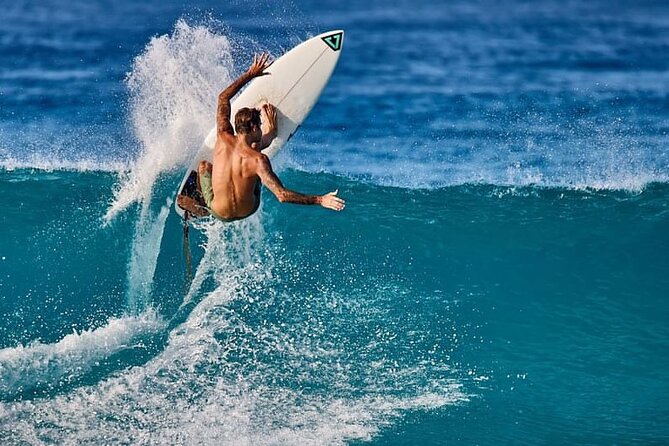 Surf lesson adventure! - The beach wildlife adds a bonus, not a promise
