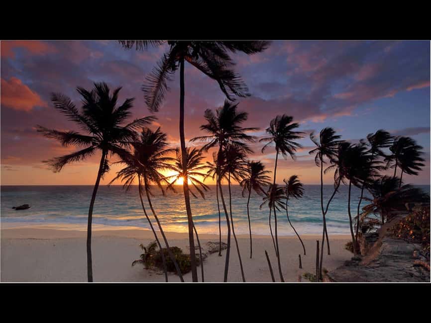 Sweet Life Island Tours - Animal Flower Cave and the Atlantic edge