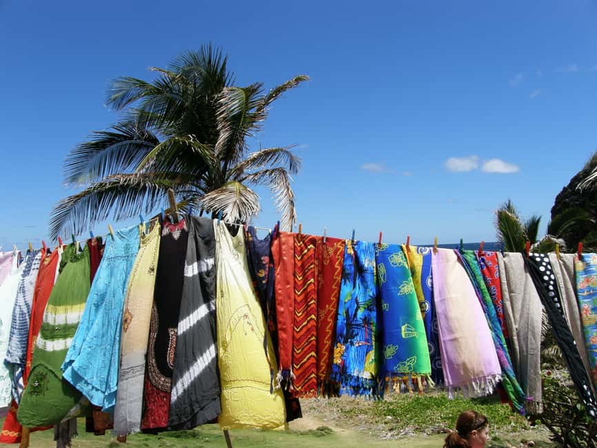 Taste of Barbados - Wildlife Reserve and the green monkey encounter