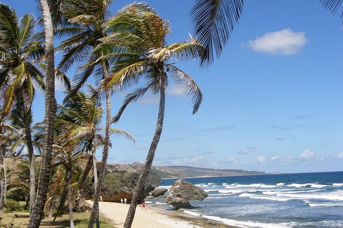 Taste of Barbados Full-Day Sightseeing tour - Key points to know before booking