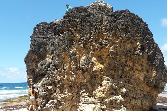 Tour Barbados Your Way - A private Barbados day built around your priorities