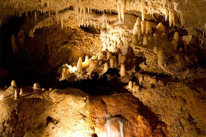Treasures of Barbados Cave and Plantation Sightseeing Tour - Morgan Lewis Windmill and Sugar Country