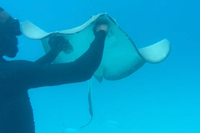 Ultimate Barbados Beach Day And Snorkel Cruise - Four hours to relax, eat, and swim