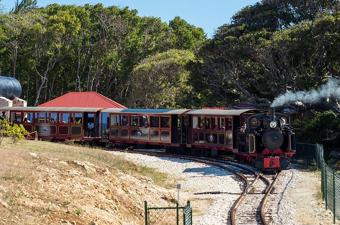 Victorian Steam (Long) Railway Journey+Great House & Distillery - Who will enjoy this train ride most?