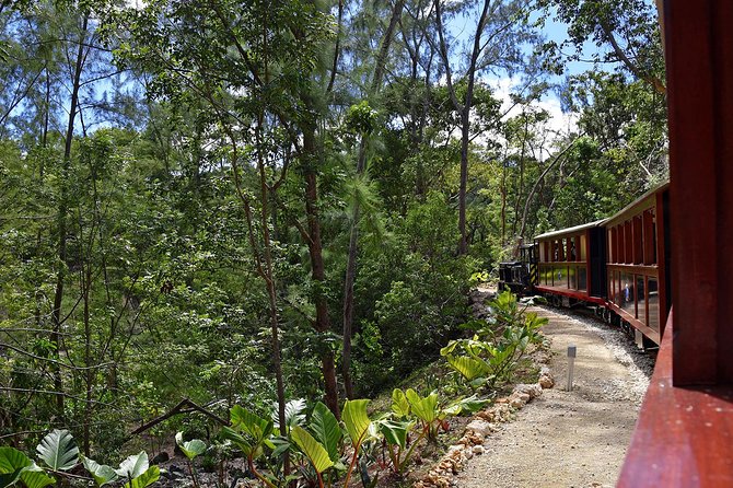 Victorian Steam Railway to Cherry Tree Hill + Great House Tour - Rum, sugar cane and the working estate