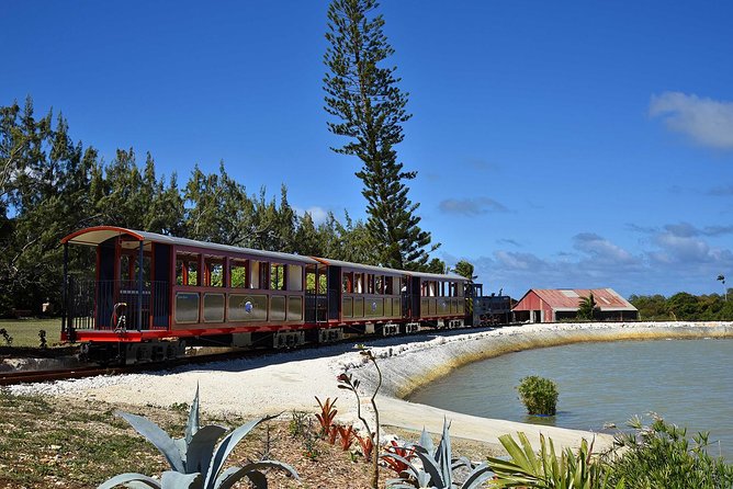 Victorian Steam Railway to Cherry Tree Hill + Great House Tour - How the $35 price holds up