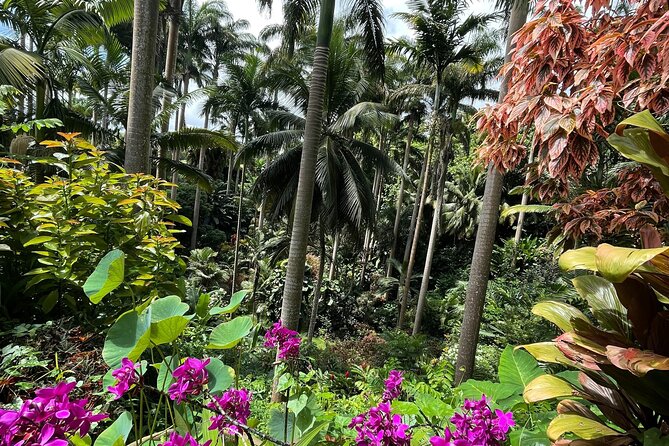 Welchman Hall Gully, Hunte’s Garden and Peg Farm Family Day - Is the $375 Group Price Good Value?
